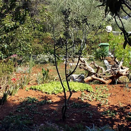 By The Sea Brgulje, Molat - 6241 Appartement