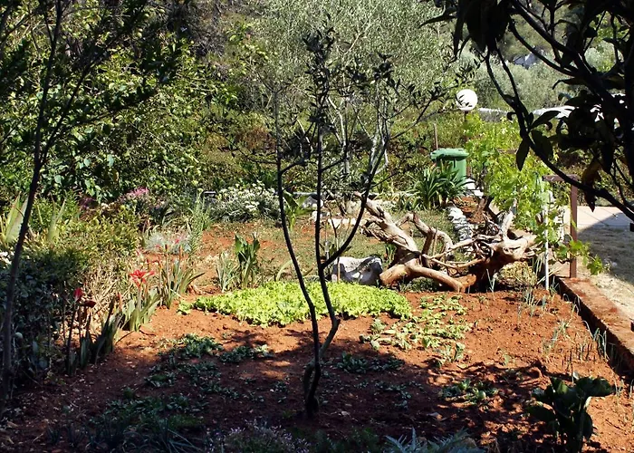 By The Sea Brgulje, Molat - 6241 Apartman